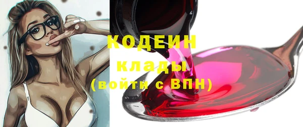шишки Михайлов