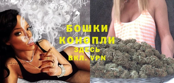 шишки Михайлов