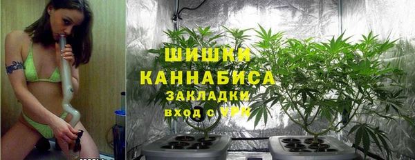 шишки Михайлов