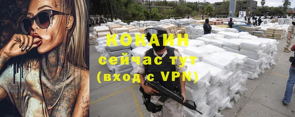 гидра Михайловск