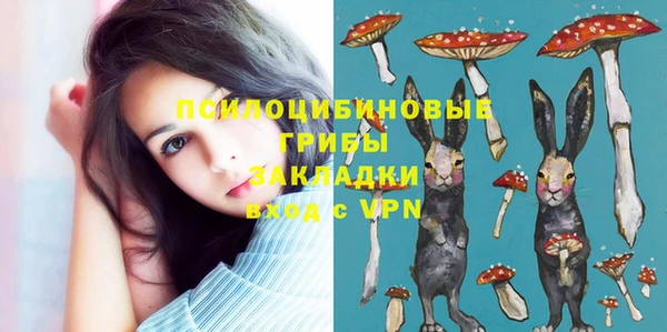 шишки Михайлов