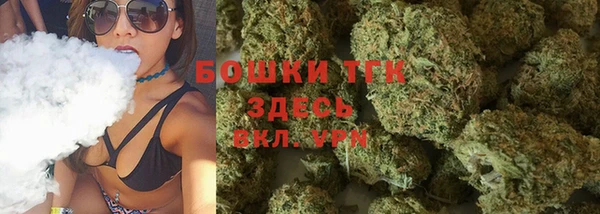 шишки Михайлов